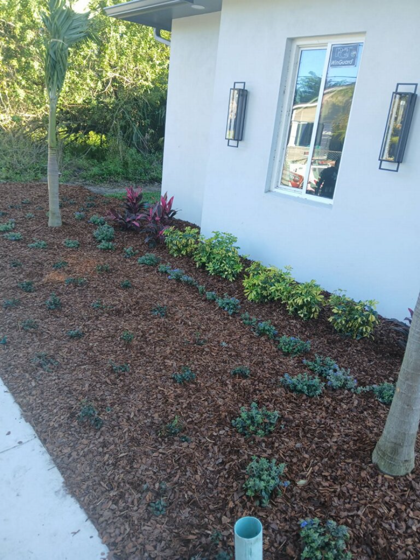 After: Garden bed in front of a home, before and after landscaping